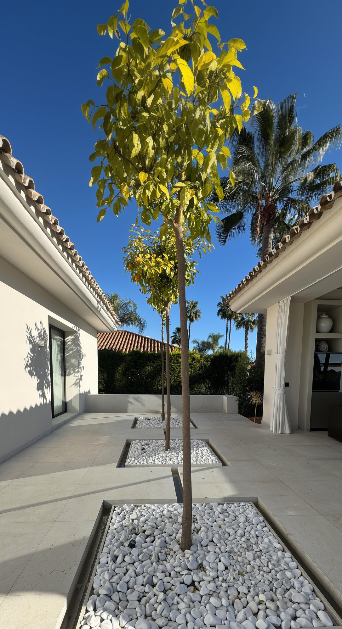 Quiet planted courtyard with young tree and white façades at Villa Shangri-La